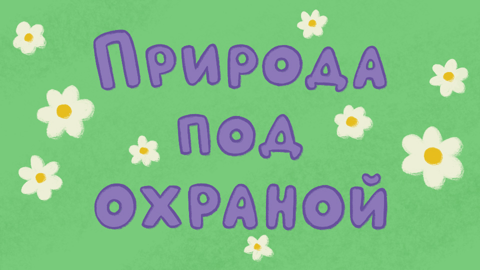 Сурки — серия 3